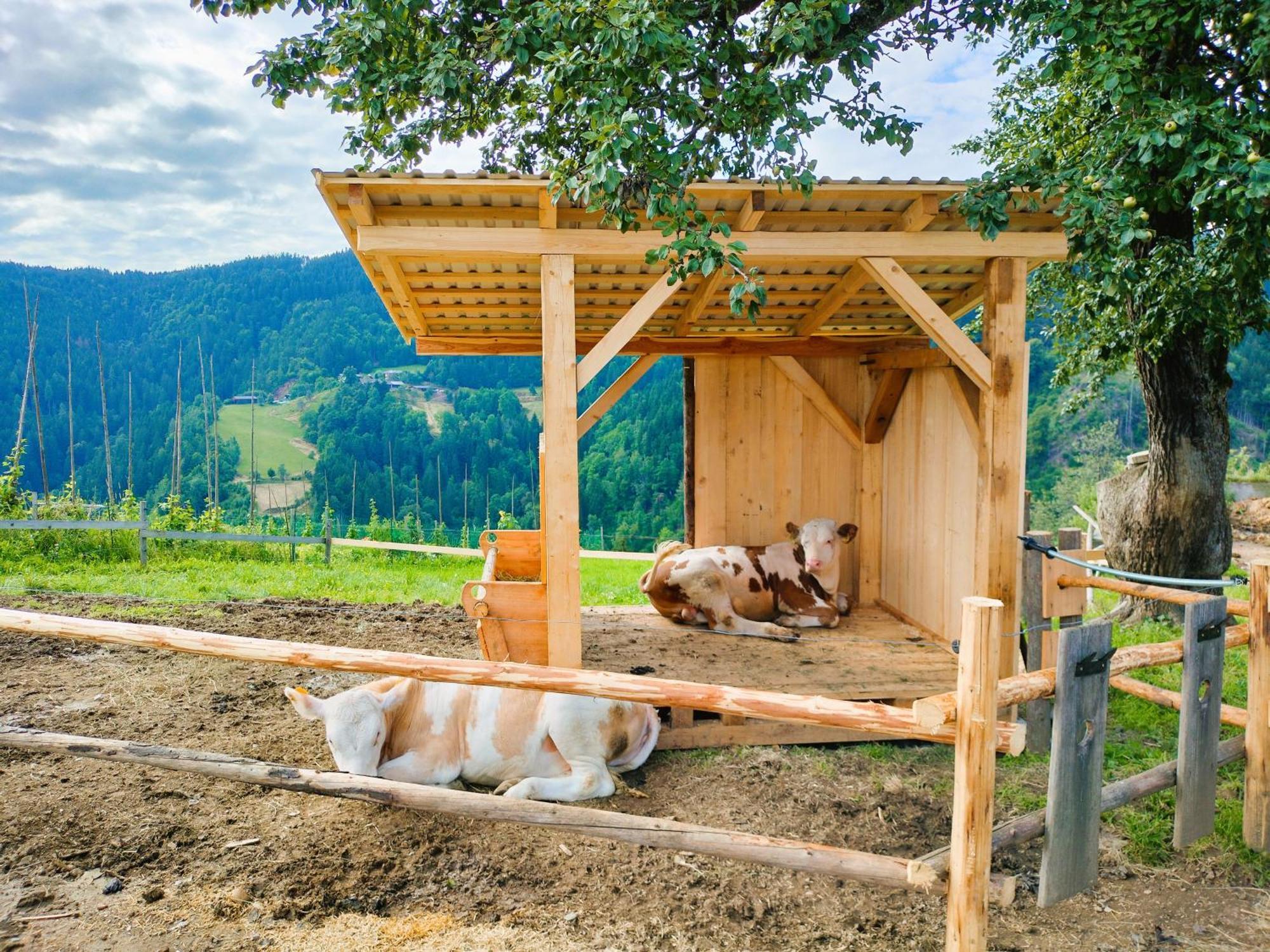 Apartments Organic Tourist Farm Gradisnik Prevalje Buitenkant foto
