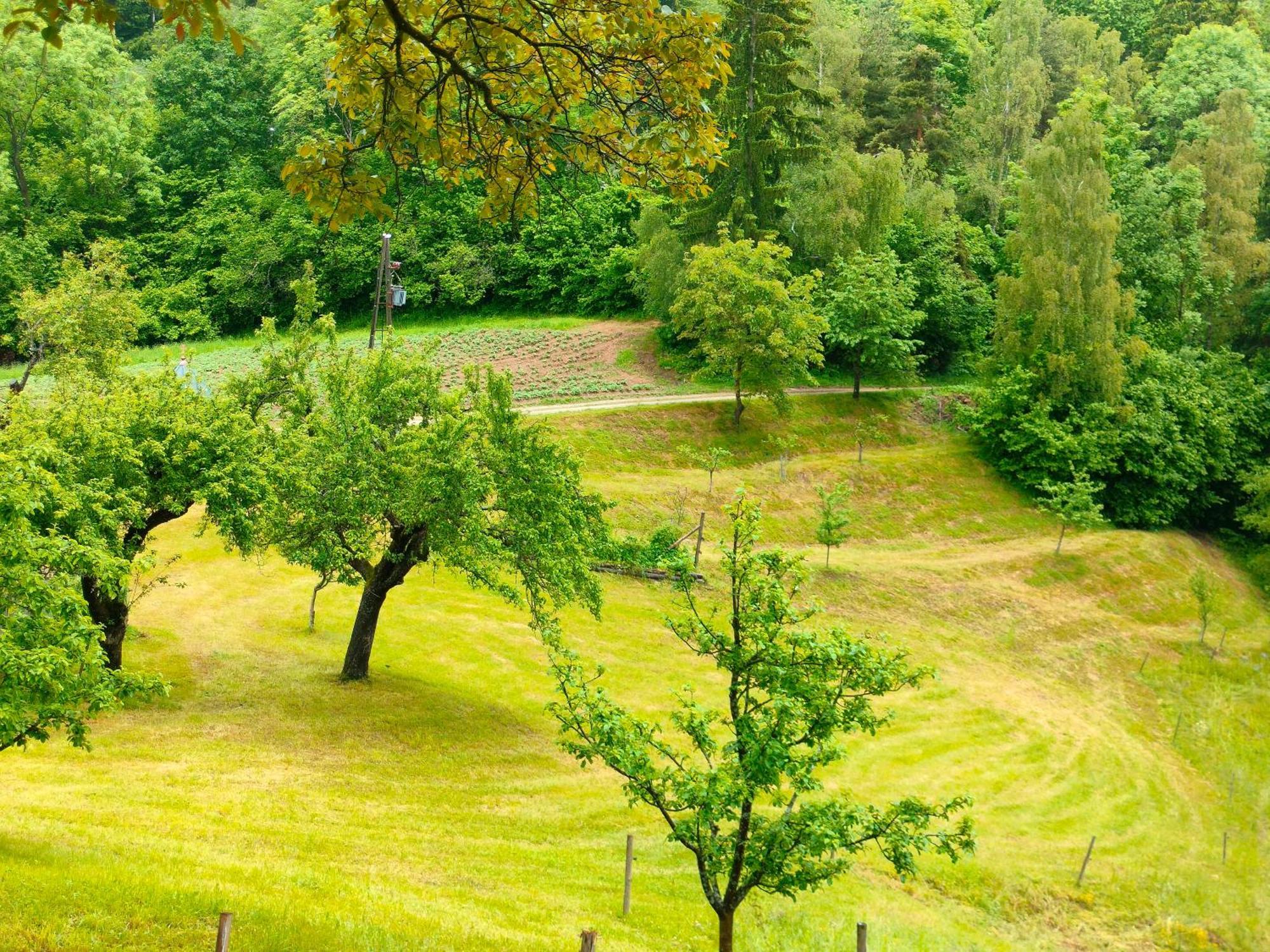 Apartments Organic Tourist Farm Gradisnik Prevalje Buitenkant foto