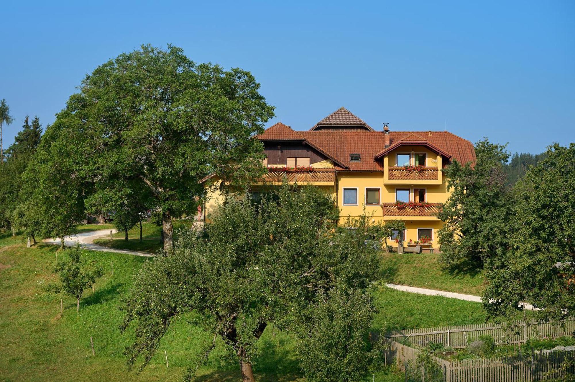 Apartments Organic Tourist Farm Gradisnik Prevalje Buitenkant foto