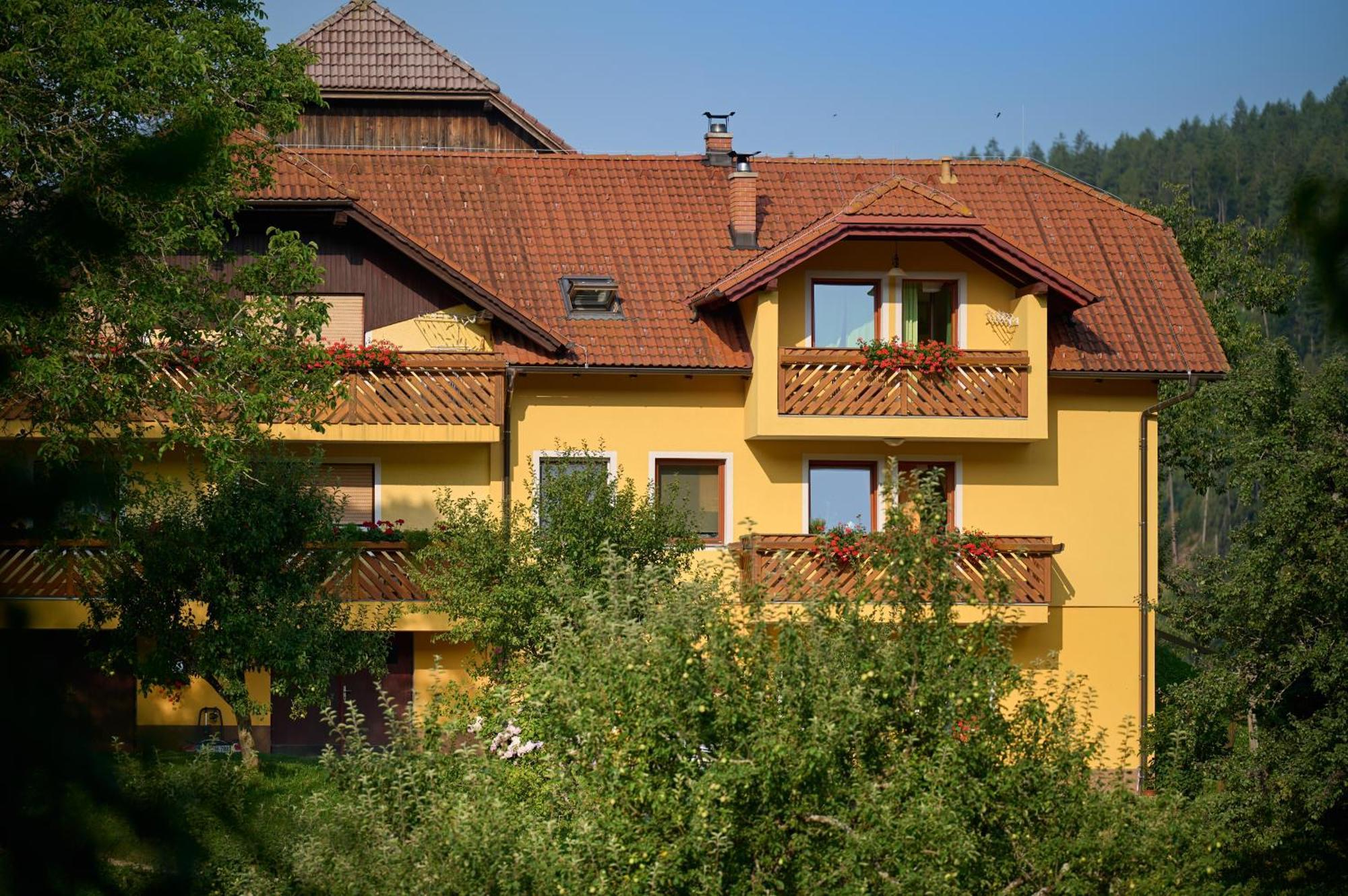 Apartments Organic Tourist Farm Gradisnik Prevalje Buitenkant foto