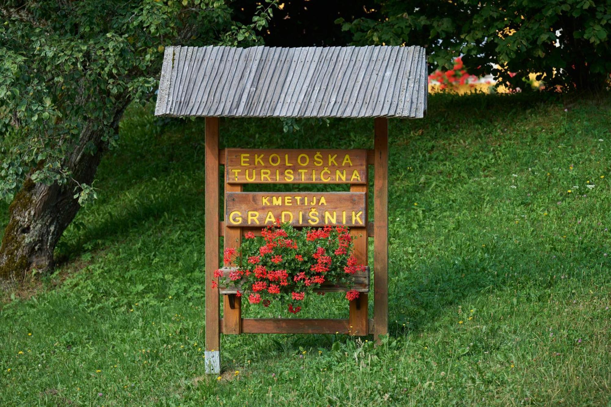 Apartments Organic Tourist Farm Gradisnik Prevalje Buitenkant foto