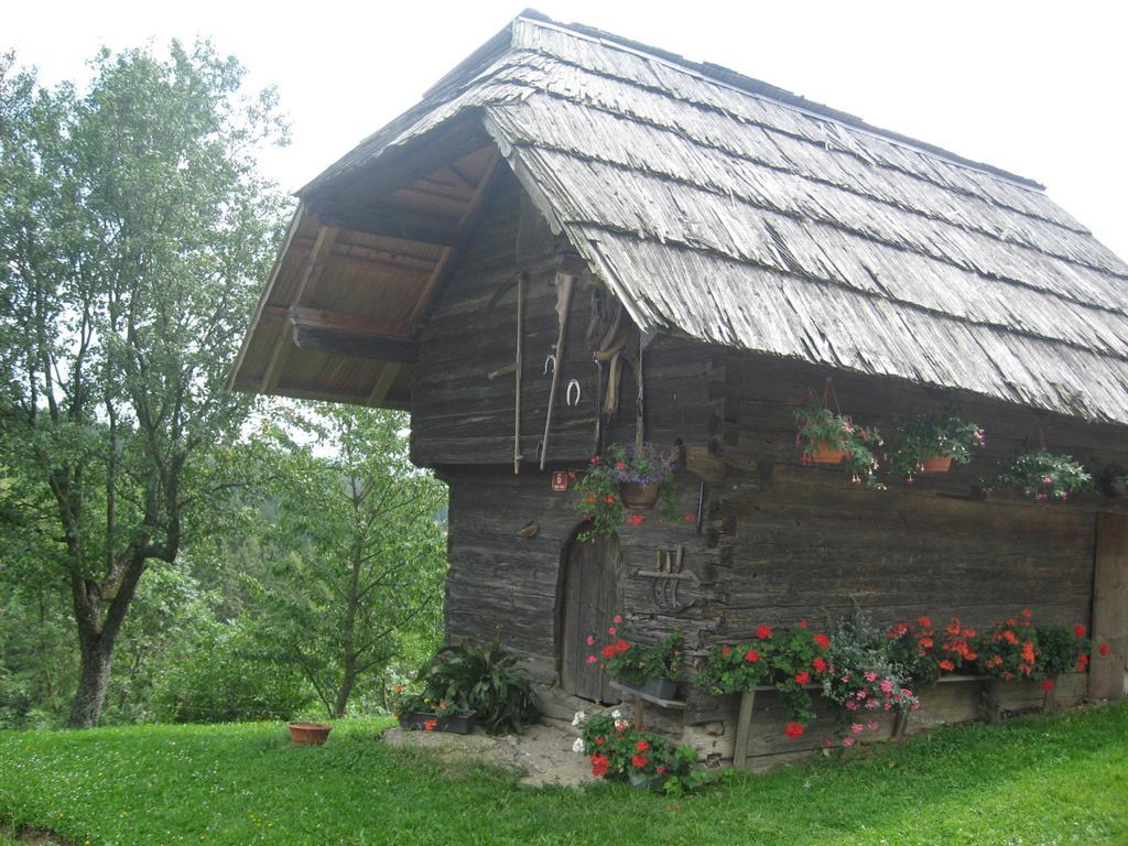 Apartments Organic Tourist Farm Gradisnik Prevalje Buitenkant foto